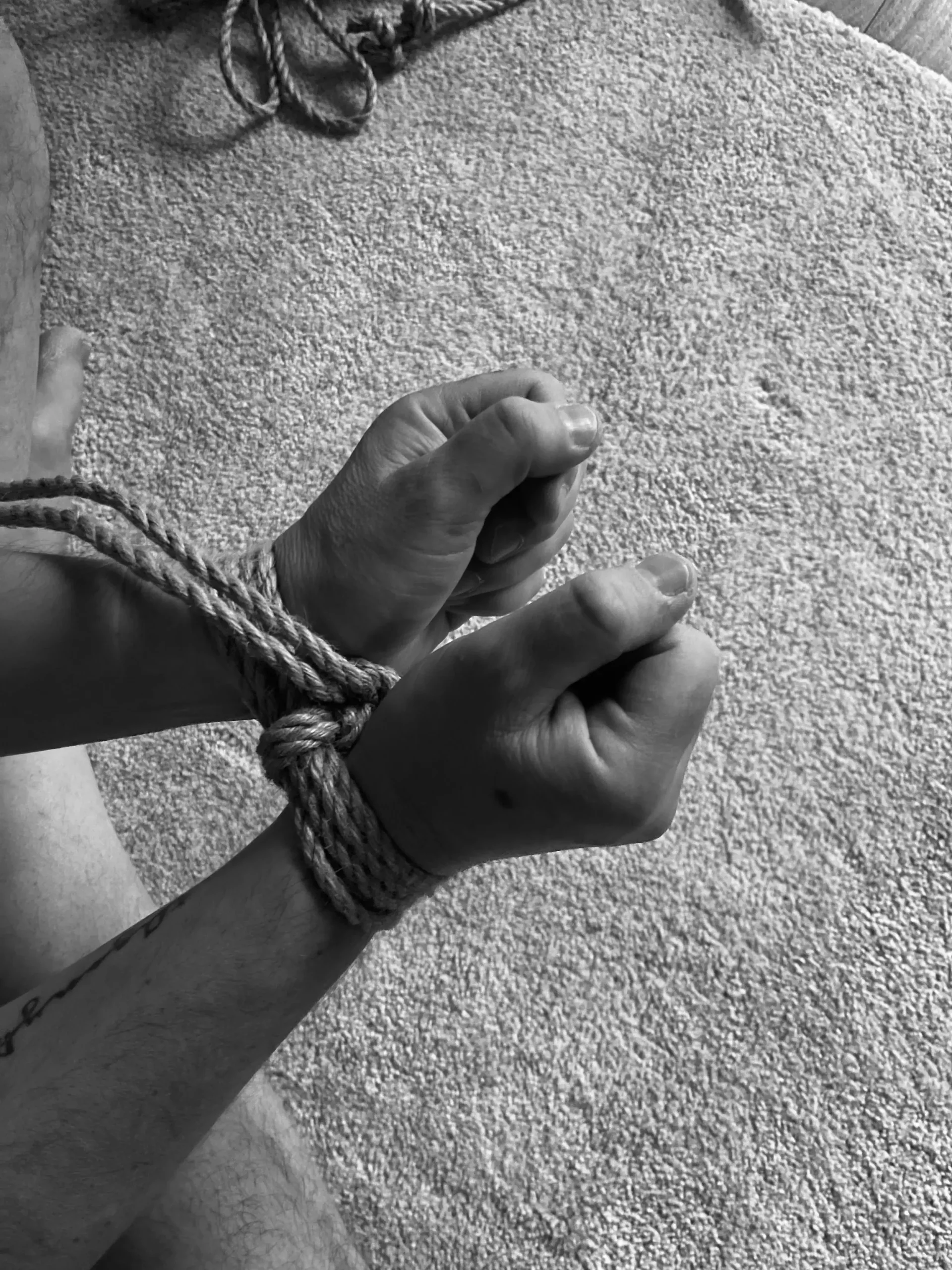 Shibari bondage double column tie
